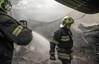 Рятувальники ліквідували пожежу у Гідропарку