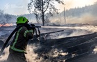 Лісова пожежа поблизу Ізюма поширюється
