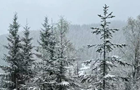 В горах Буковины выпал снег