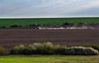 Весняна сівба: аграрії виконали 76% плану