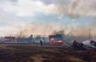 Площа лісових пожеж у Росії зрівнялася з територією Чорногорії