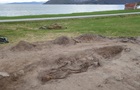 В Норвегии обнаружили 1000-летнее захоронение женщины-викинга с её собакой