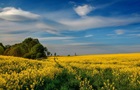 Гороскоп для всіх знаків зодіаку на 9 липня 2025 року