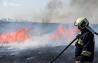 На Полтавщине пожар уничтожил поле зерновых