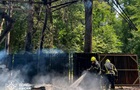 У Києві сталася пожежа у парку динозаврів