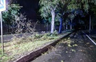 Разгул стихии: ГСЧС Харьковщины показала последствия