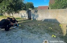 Під Києвом чоловік кинув гранату у поліцейських