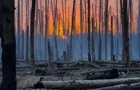РФ использует дроны для атак в лесах Донбасса - ISW