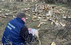 Под Харьковом обнаружена массовая свалка костей крупного рогатого скота