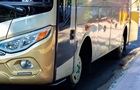 В Україні зріс попит на автобуси та буси