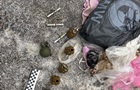 Военные СОЧ продавали гранаты в Черниговской области