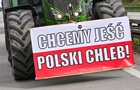 В Польше заблокировали почти 60 тонн агропродукции из Украины