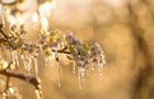 Дощі та заморозки прогнозують на Великдень