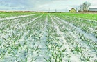 Урожай 2026: не выморозила ли зима наши поля и сады