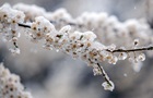 Дощ, мокрий сніг і заморозки: погода на понеділок