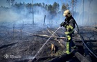 На Чернігівщині палають тисячі гектарів лісу