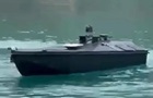 Греция расследует появление украинского морского дрона у ее острова