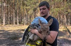 Из сгоревшего Чернобыльского леса спасли лосенка