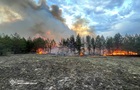 Лесные пожары бушуют в четырех областях - ГСЧС