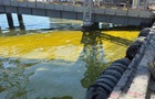 В Тузловских лиманах площадь загрязнения маслом увеличилась вдвое