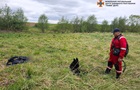 На Львівщині службовий пес розшукав зниклу жінку