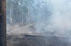 Російські дрони знову підпалили зону відчуження