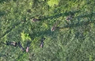 Прикордонники за допомогою БПЛА взяли у полон чотирьох військових РФ
