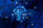 Регулярные ночные смены на работе уменьшают мозг - ученые
