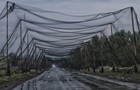 На Волині встановлять антидронові сітки поблизу кордону з Білоруссю