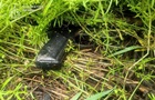 В Киеве задержан иностранец по подозрению в убийстве двух человек на СТО