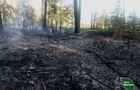 На Житомирщині російські дрони спричинили п’ять лісових пожеж
