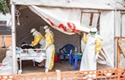 Во Франции подтвержден первый случай заражения вирусом Эбола