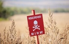 Росіяни на Херсонщині вбили розміновувача з міжнародної організації