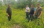 На Дніпропетровщині викрито дві групи  чорних лісорубів 