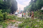 Негода у Львові: через удар блискавки дитина потрапила в реанімацію
