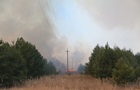 Киев и область накрыло дымом от пожаров