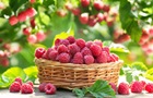 Гороскоп на 6 липня для всіх знаків Зодіаку