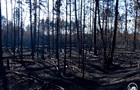 В Чернобыльской зоне локализовали все очаги возгорания