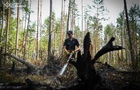 В Чернобыльской зоне потушили масштабный пожар