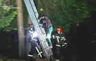 У Львові рятувальники зняли з дерева жінку та її кота