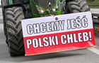 Польша сохранит запрет на часть украинского агроимпорта