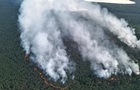 У Німеччині горить ліс на полігоні: детонують боєприпаси