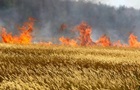 На Запоріжжі через обстріли знищено понад 1800 гектарів посівів