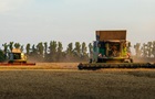 Украина увеличила экспорт зерна более чем на 50%