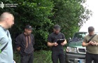 Незаконна вирубка лісу в Медоборах: пні маскували ґрунтом і гіллям