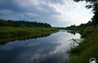 Рідкісні риби оселилися у водоймах Чорнобильської зони