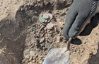 Монети XIV століття знайшли на Полтавщині