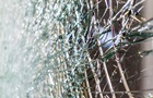 Польський автобус потрапив у смертельну ДТП в Угорщині
