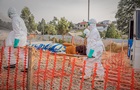 Растет в геометрической прогрессии: в Конго уже более 2500 жертв Эболы