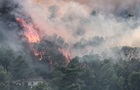 Європейські ліси втрачають здатність поглинати CO₂